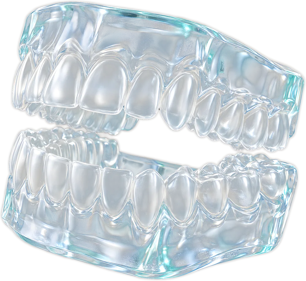 A clear glass model of a full set of teeth